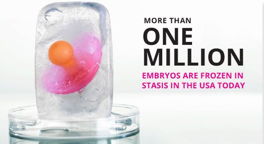 embryo disposition